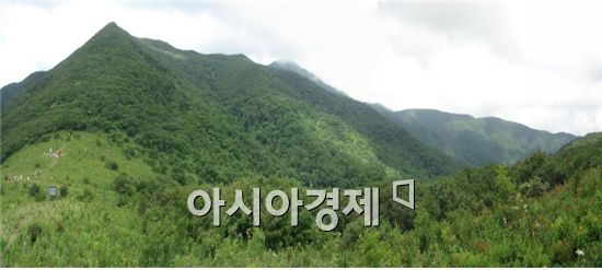 35년만에 점봉상·계룡산 국립공원의 품으로