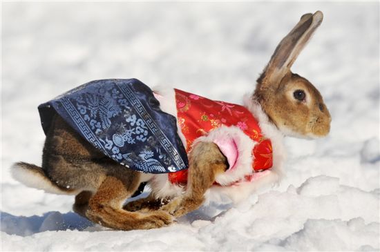 [포토]내년은 우리의 해, 새해복많이 받으세요