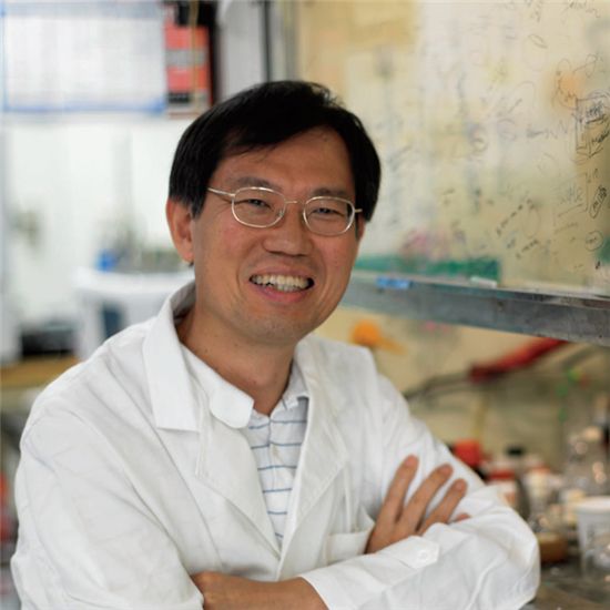 호박모양 나노물질 '쿠커비투릴', 활용 가능성 무궁무진 