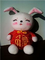 '토끼'값이 '호랑이'보다 비싸진 이유