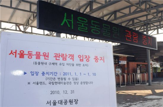 [포토]"구제역으로 서울동물원 출입안돼요"