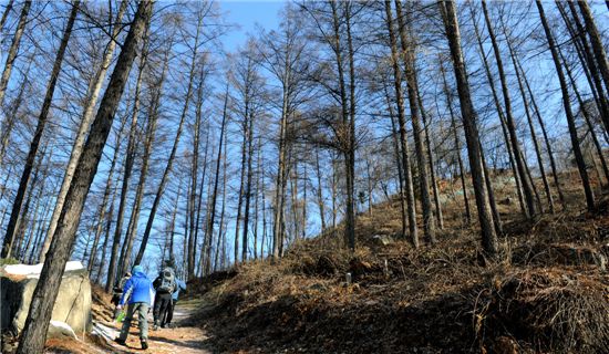 [여행]눈쌓인 역사의 비탈 꾹꾹 걸어서 오르다