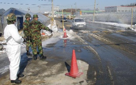 충남 ‘구제역’ 퇴치, 군대가 나섰다