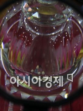 부처님 진신사리 중 정골사리 4과 오색사리 3과가 미얀마 연방정부 종교성에서 이운해 이날 법회에서 처음으로 공개됐다.