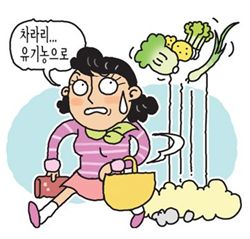 야채값 폭등에 비싼 유기농 날개