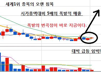 100만원을 순식간에 1억원대로 만들어줄 세계1위 종목!