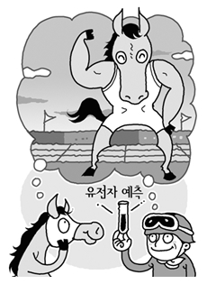 [주말레이싱] "음~ 이 말은 단거리에 좋겠어"