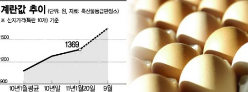 '계란 대란' 시작됐다