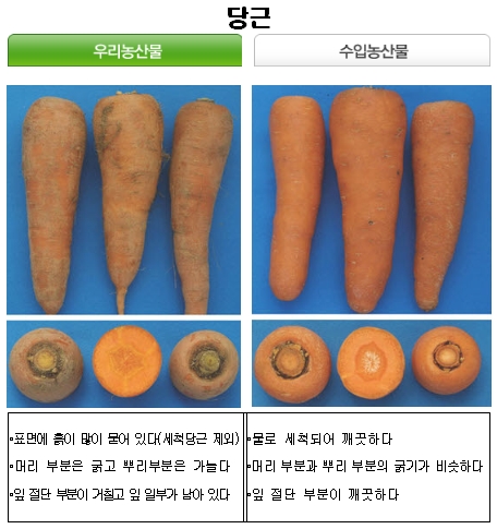 국산 농산물과 외국산 구별법 ②채소류