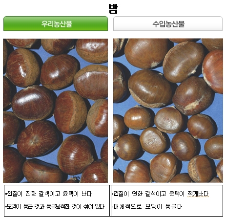 국산 농산물과 외국산 구별법 ②채소류