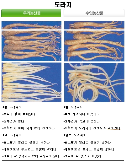 국산 농산물과 외국산 구별법 ②채소류