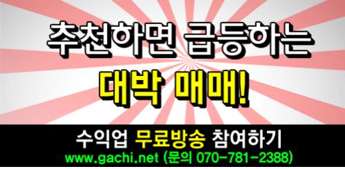 1천만원 1억 번 대한민국을 흔든 투자자들의 생생한 이야기