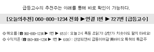 설 직후 3.000% 급등 행진할 단 하나의 종목