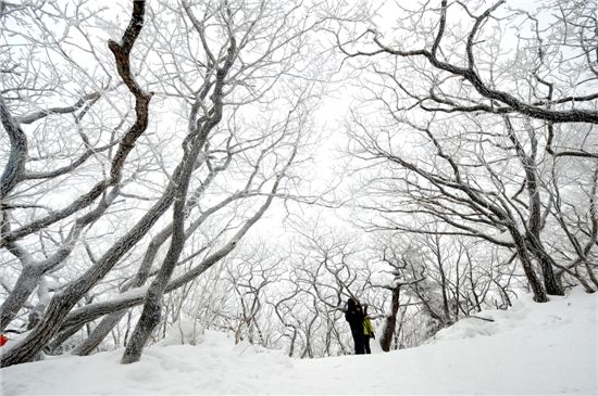 [여행]1614m 설국으로 초대 부츠신고 오세요