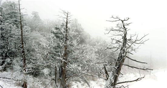 [여행]1614m 설국으로 초대 부츠신고 오세요