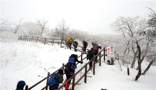 [여행]1614m 설국으로 초대 부츠신고 오세요