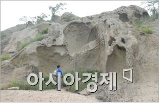 서남해안 무인도는 생태계 징검다리