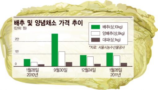 돼지고기·계란 이어 또 배추 대란?