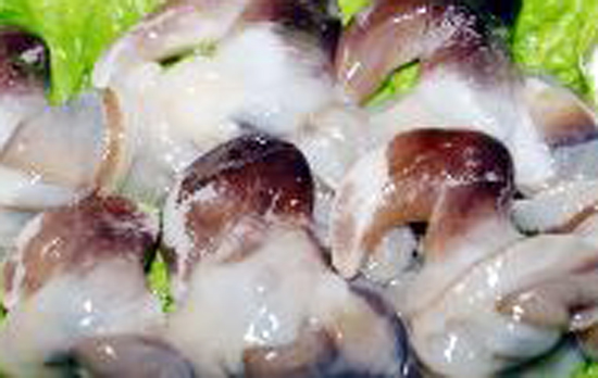 설 연휴, “충남 서해안에서 즐거운 추억 만드세요”