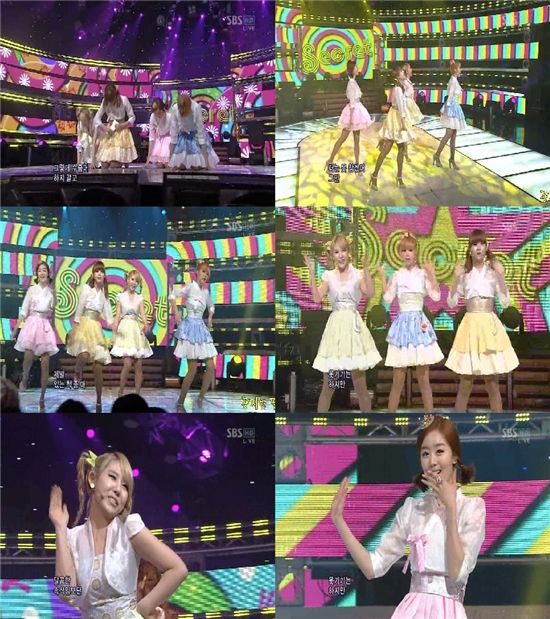 시크릿, 깜짝 세배 퍼포먼스.."역시 개념 걸그룹" 