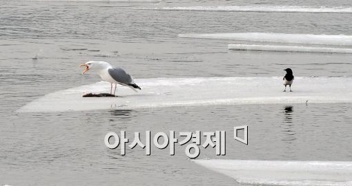 [포토]내꺼야!