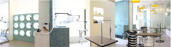 프리미엄 종합동물병원 '이리온' 오픈