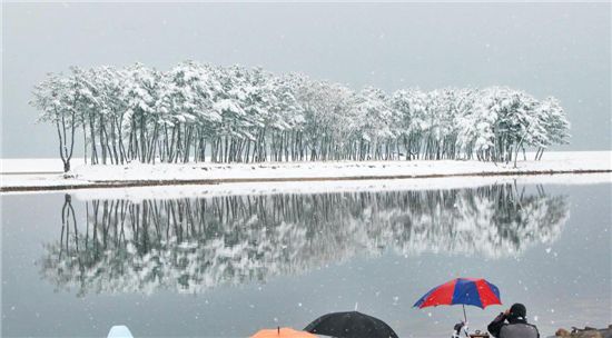 [여행]파도치는 별빛 플래시 그 섬, 외롭지 않네