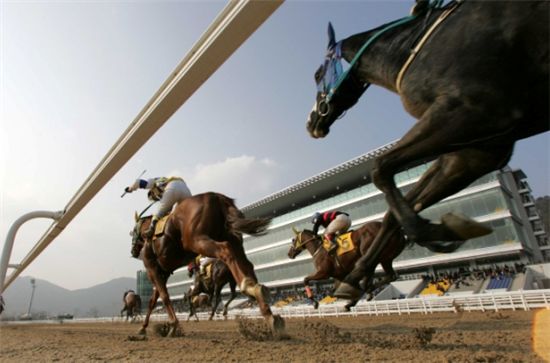 [주말레이싱] 순발력·지구력 겸비 '레이스테러' 매력적