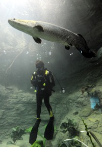 대전아쿠아월드, 요금 1만7500원이 안 아깝다