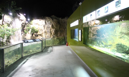 대전아쿠아월드, 요금 1만7500원이 안 아깝다