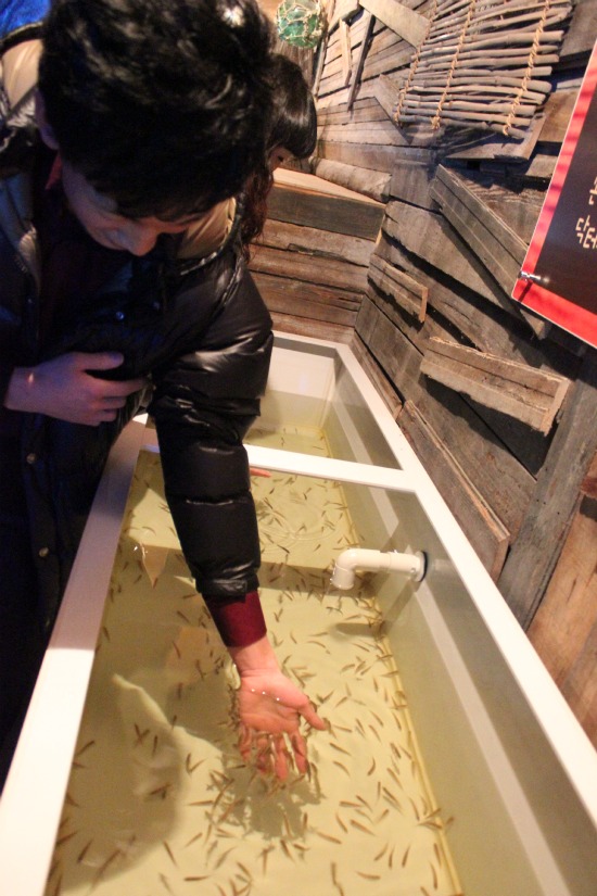 대전아쿠아월드, 요금 1만7500원이 안 아깝다