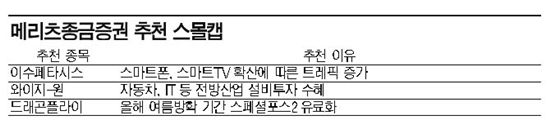 [2011유망스몰캡]메리츠證, IT강자 이수페타시스 고성장 전망