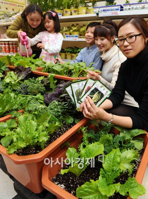 [포토]이마트, 가정용텃밭세트 출시
