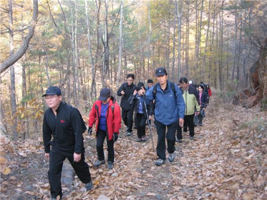 벼리골 트래킹