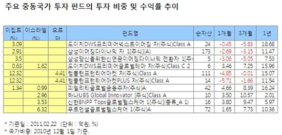 내 신흥국펀드에 '중동' 있었네