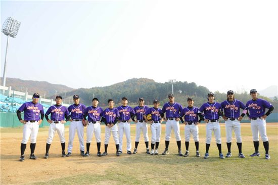 다음, 천하무적야구단과 '꿈의 구장' 건립 나섰다