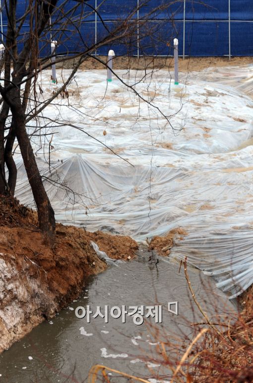 [포토]빗물고인 이천 구제역 매몰지