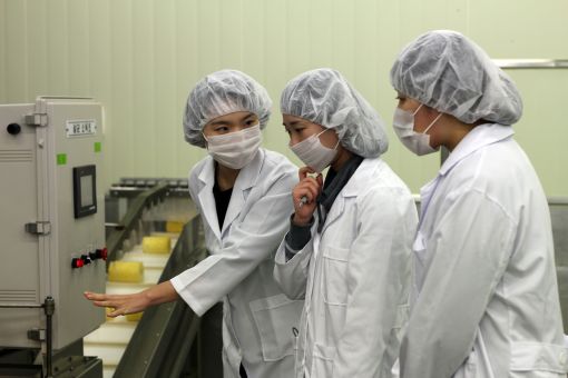 CJ프레시웨이, 업무 효율 위한 사내 오디터제 도입