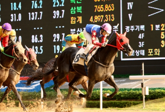 [주말레이싱] 절대강자 '터프윈' "단숨에 이겨주마"