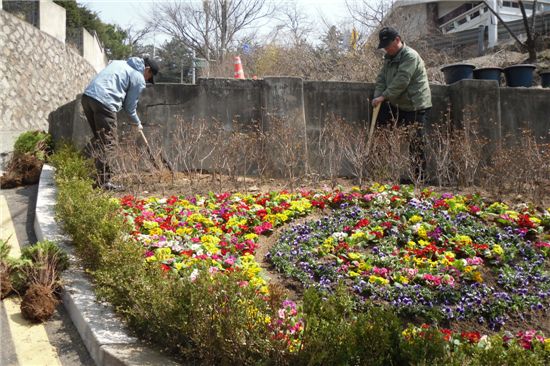 지역공동체 일자리 사업 참여자들이 봄을 맞아 무단투기 상습지역을 꽃밭으로 조성하고 있다.