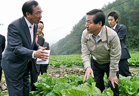 [동정] 유정복 장관, 나주·무안 배추 작황 점검