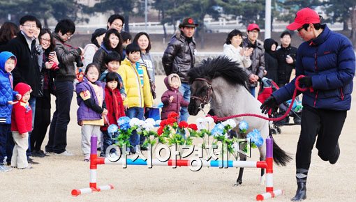 [포토] 미니호스 멋진 점프