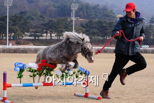 [포토] 미니호스의 점프쇼
