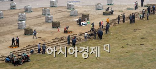 [포토]푸른 잔디 깔리는 '서울광장'