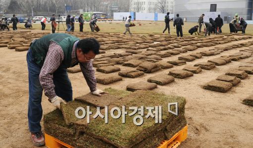 [포토]봄 맞이하는 서울광장