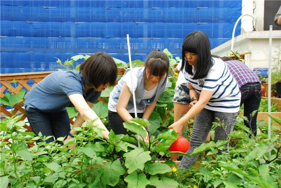 지난해 6월 하자센터의 '자란다 프로젝트'에 참여한 학생들이 옥상농원에서 목초액으로 해충제거 작업을 하고 있다.

