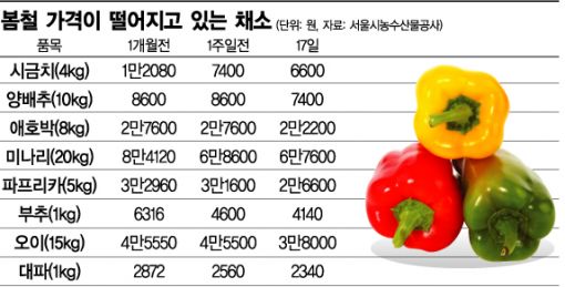 시금치, 양배추 등 제철 채소 '반값'