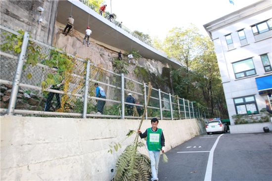 도심 한복판 90°절개지, 암벽타고 환경정비