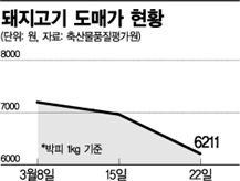 뛰던 돼지는 멈추고 뛰던 오리는 날았다