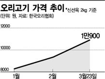 뛰던 돼지는 멈추고 뛰던 오리는 날았다